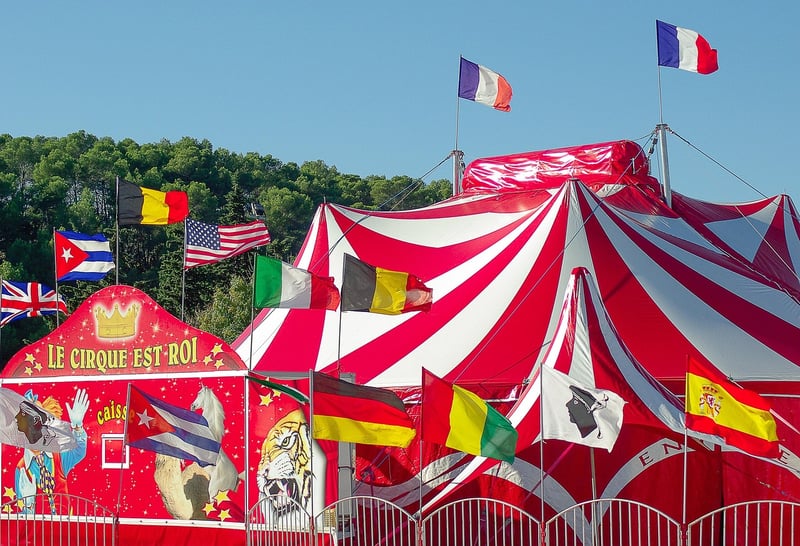Circus Extravaganza